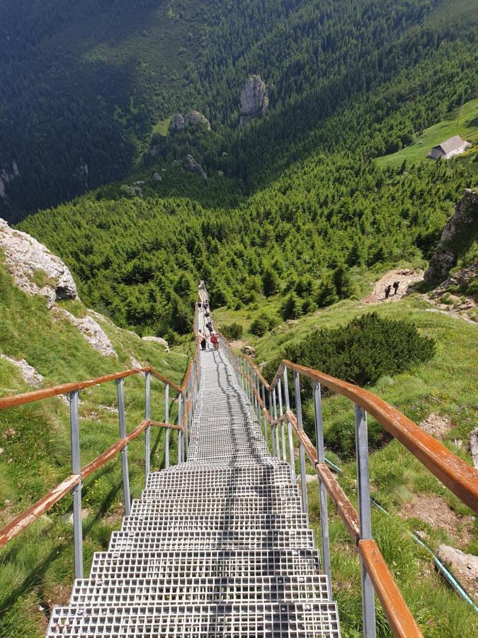 Casa Tucan Ceahlău Exteriér fotografie